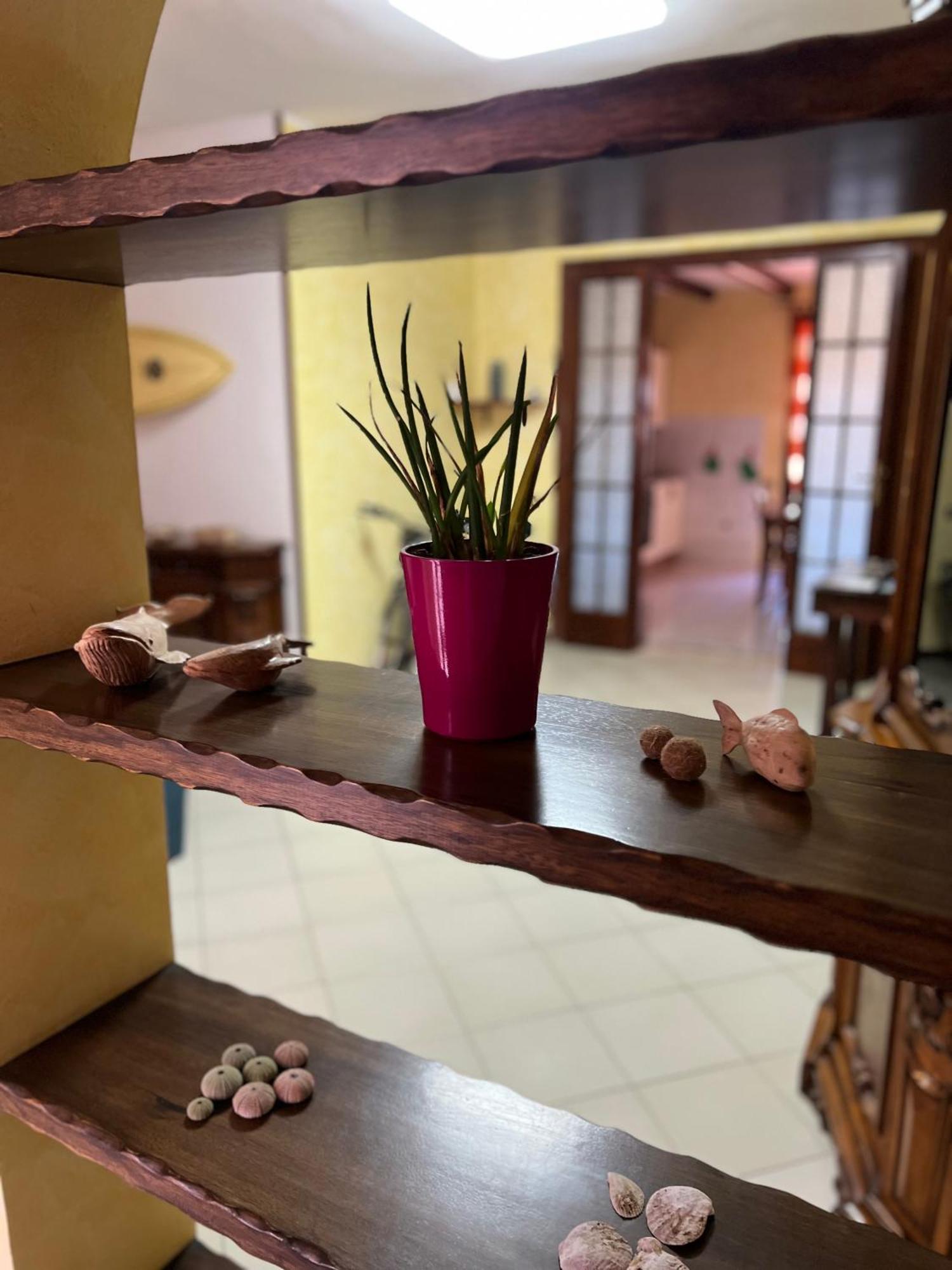 Casa Maestrale Daire Gonnesa Dış mekan fotoğraf